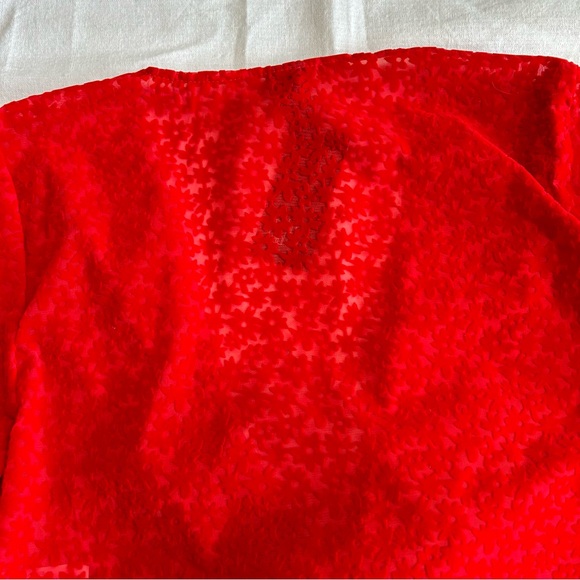 Brand New!! Wild Fable | Red Velvet Textured Front Tie Crop Top with Flowers - Picture 7 of 12